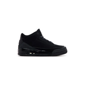 Jordan 3 Retro Black Cat (2025)