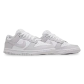 Nike Dunk Low Venice 5