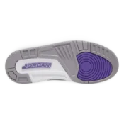 aj3 dark iris 4