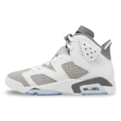 aj6 cool grey 3